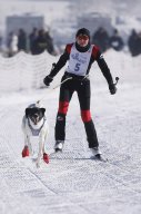 Lenk 2013